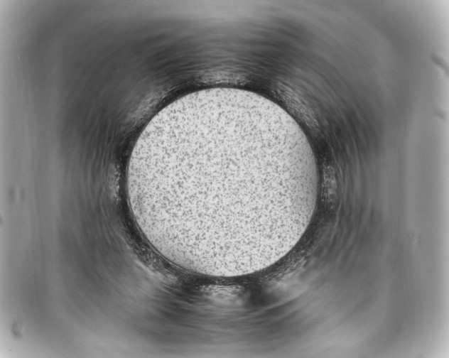 X0000096730255200802261500