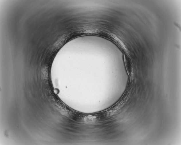 X0000096730257200802261500