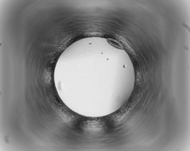 X0000096730259200802261500