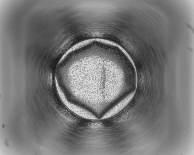 X0000096730262200802261500