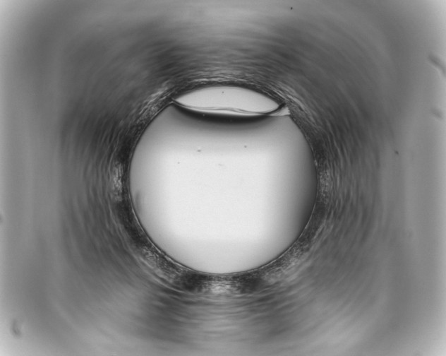X0000096730264200802261500