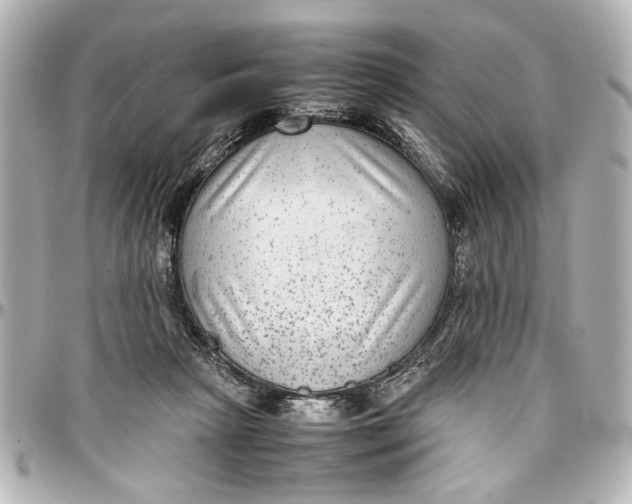 X0000096730265200802261500
