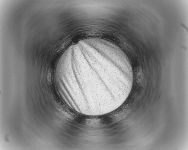 X0000096730266200802261500