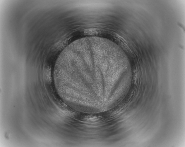X0000096730267200802261500