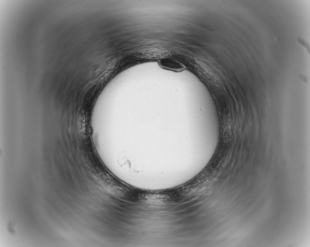 X0000096730268200802261500
