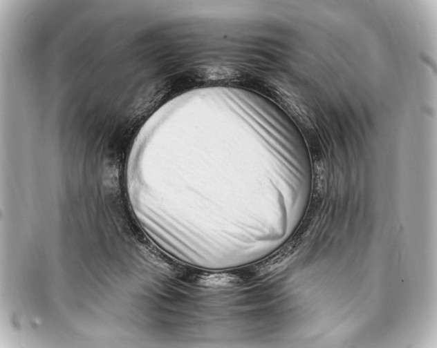 X0000096730269200802261500