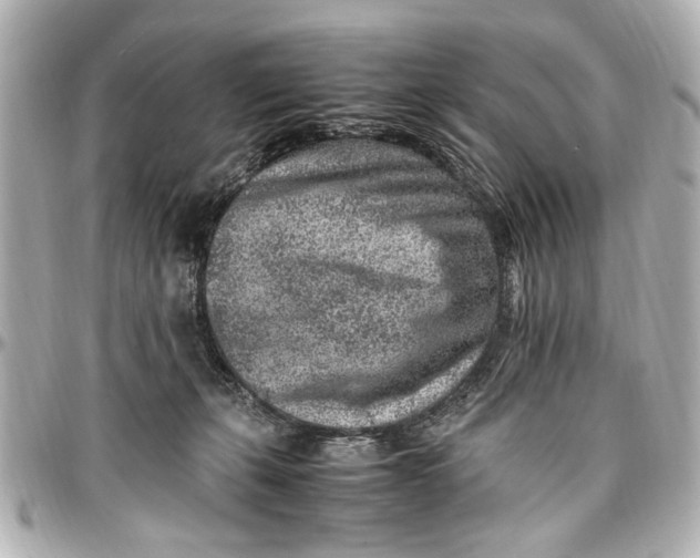 X0000096730271200802261500