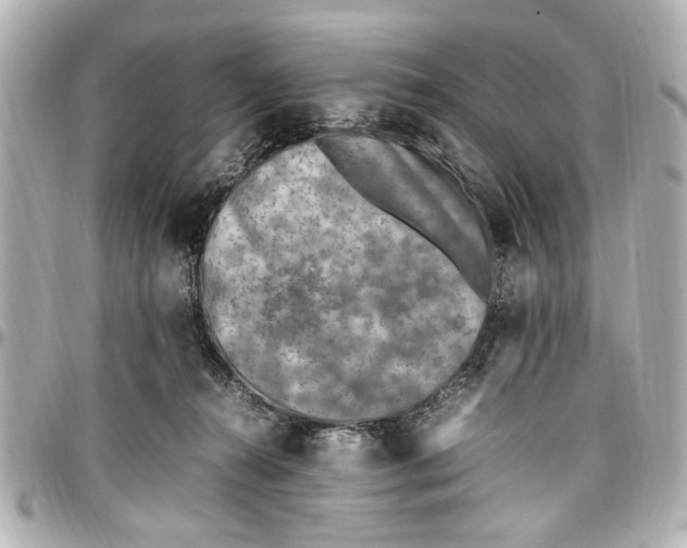 X0000096730272200802261500