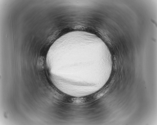 X0000096730273200802261500