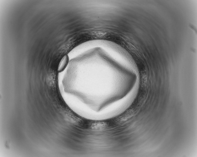 X0000096730274200802261500