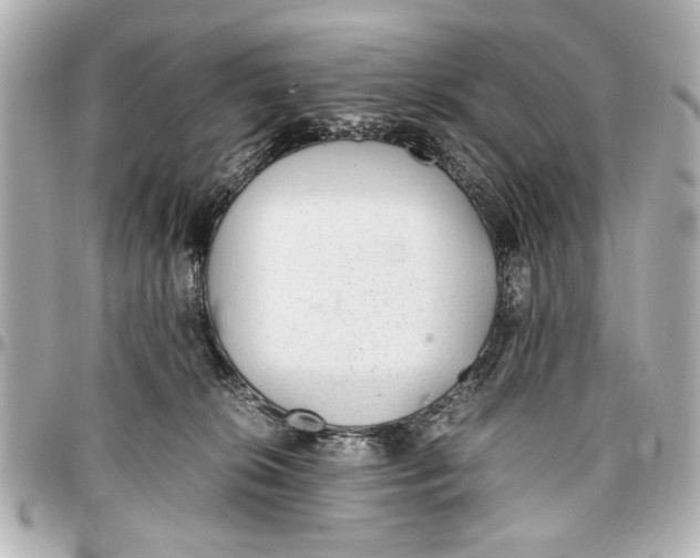 X0000096730276200802261500