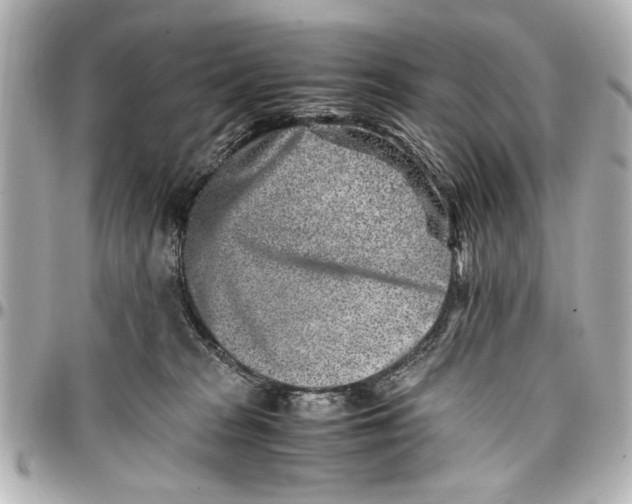 X0000096730277200802261500