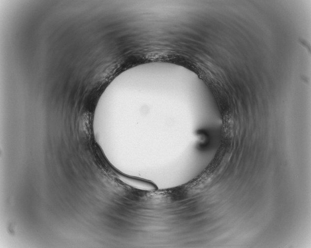 X0000096730280200802261500