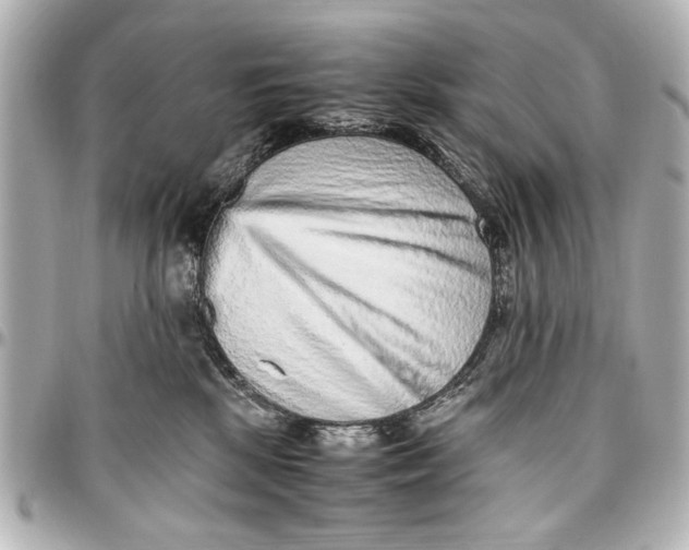 X0000096730281200802261500