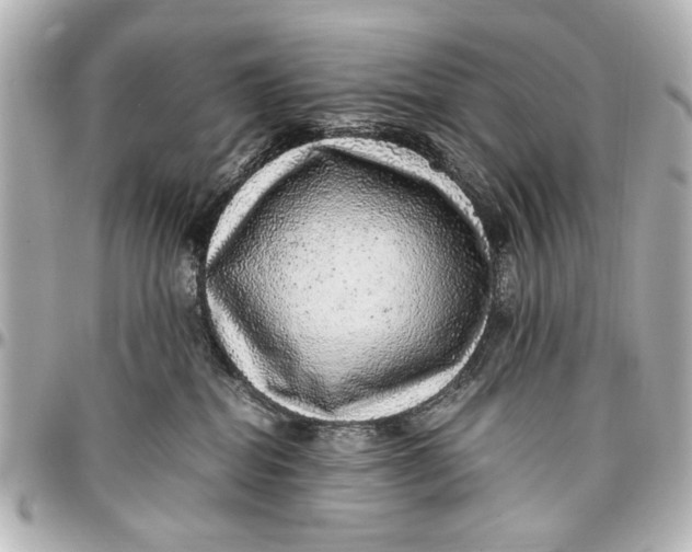 X0000096730282200802261500