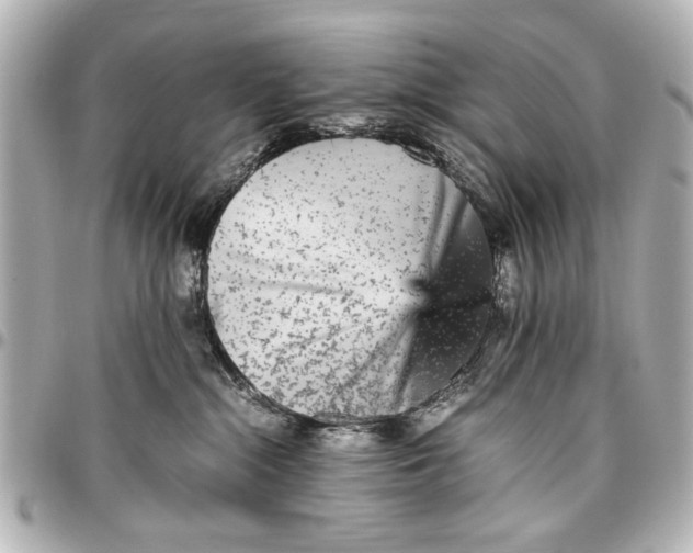 X0000096730284200802261500