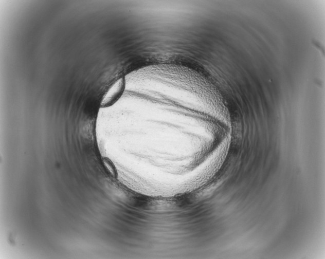 X0000096730286200802261500