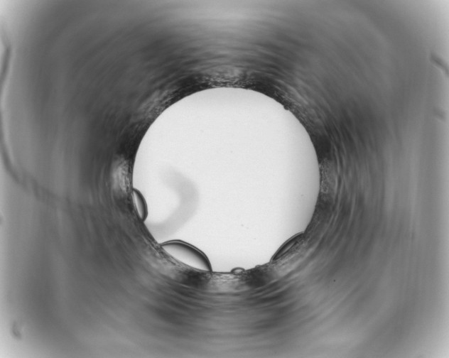 X0000096730287200802261500