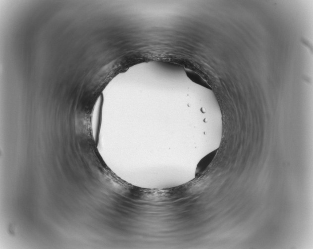 X0000096730288200802261500