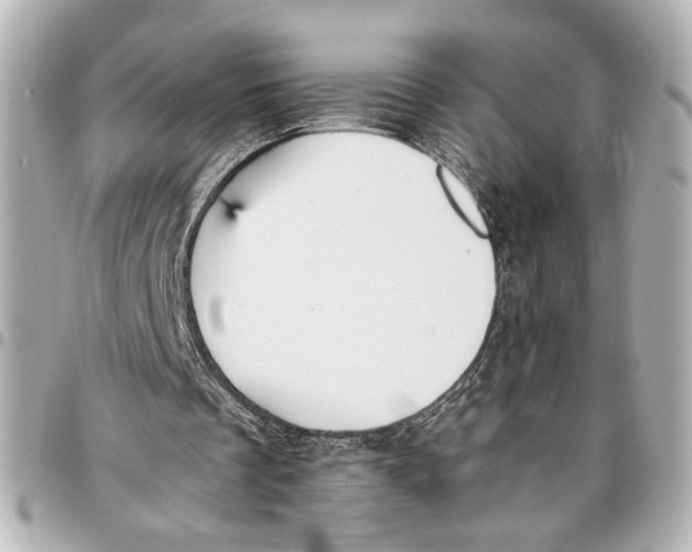 X0000096730289200802261500