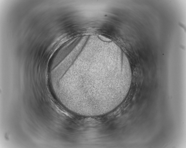 X0000096730290200802261500
