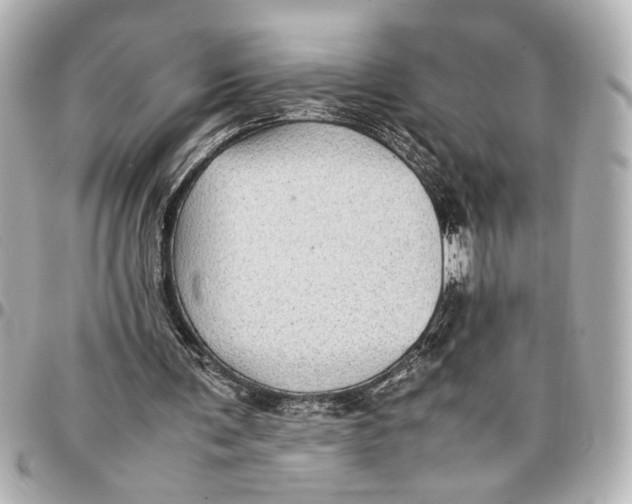 X0000096730291200802261500