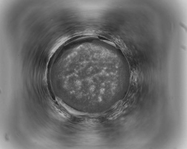 X0000096730292200802261500