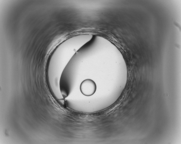 X0000096730293200802261500