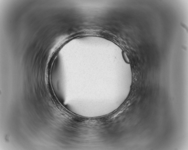 X0000096730294200802261500