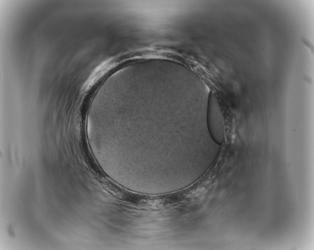 X0000096730295200802261500