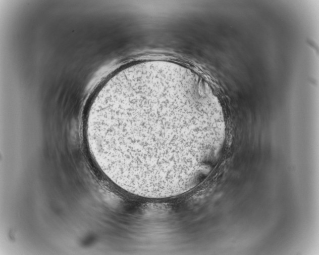 X0000096730296200802261500