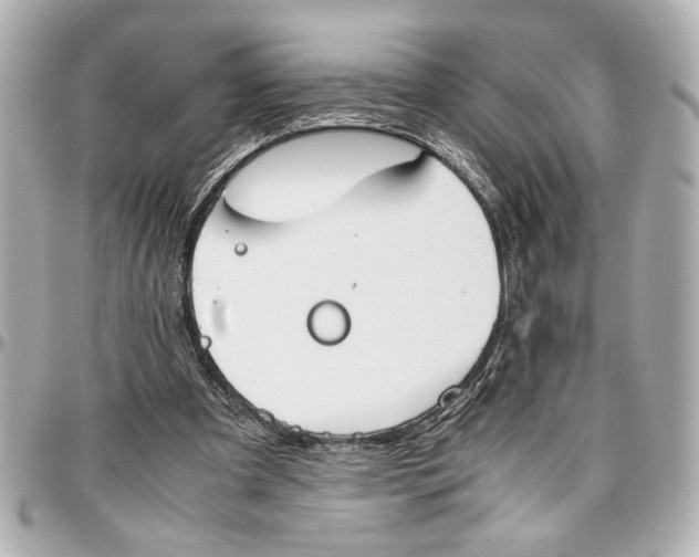 X0000096730297200802261500