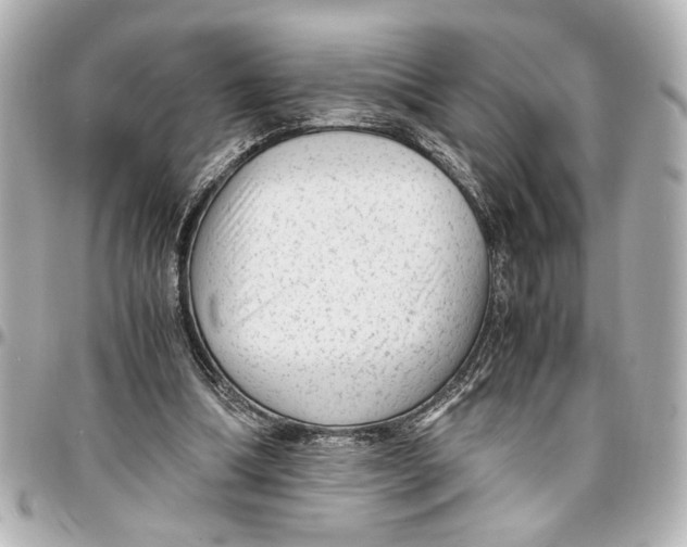 X0000096730298200802261500
