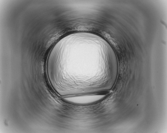 X0000096730299200802261500