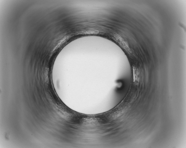 X0000096730300200802261500