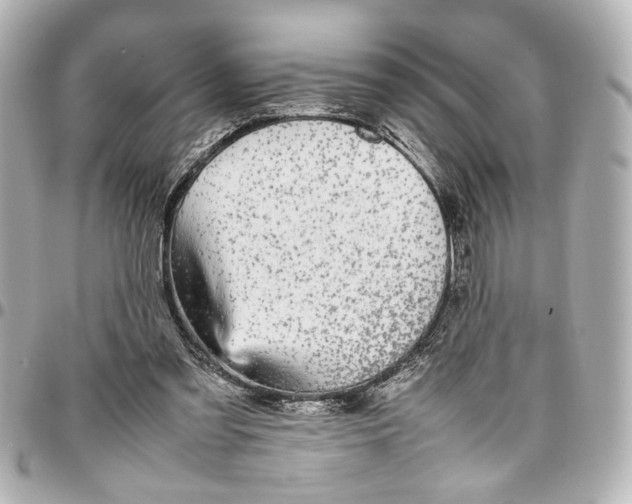 X0000096730301200802261459