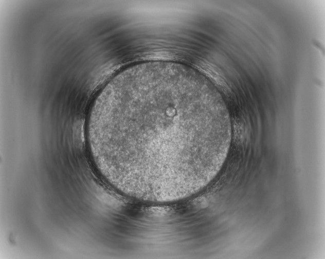 X0000096730302200802261459