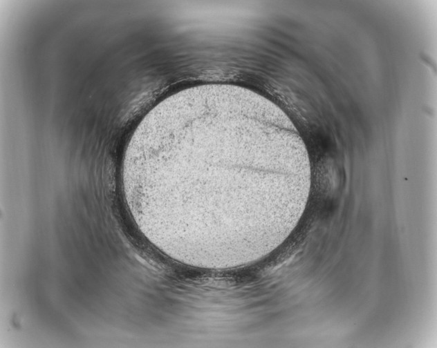 X0000096730303200802261459