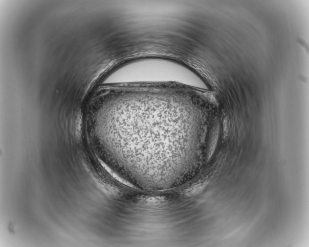 X0000096730304200802261459