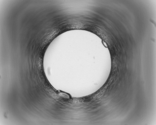 X0000096730305200802261459