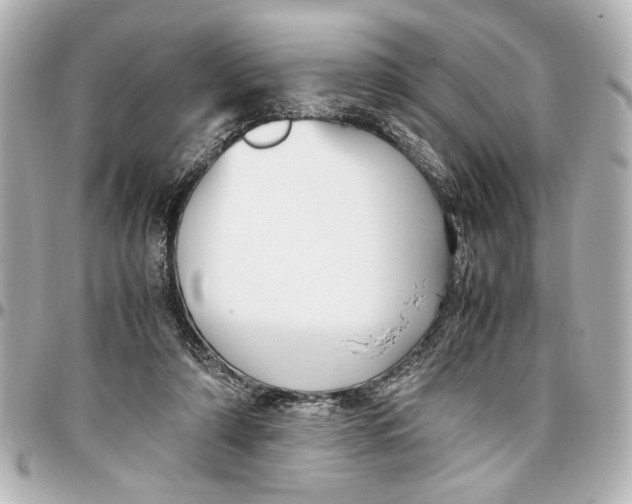 X0000096730306200802261459