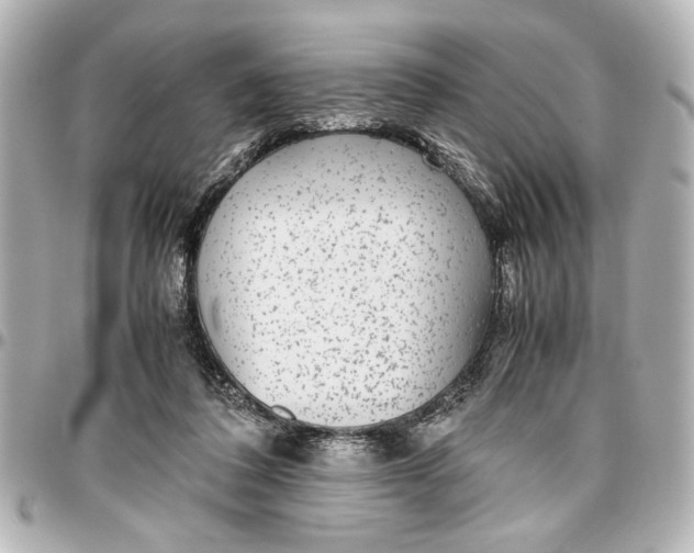 X0000096730308200802261459