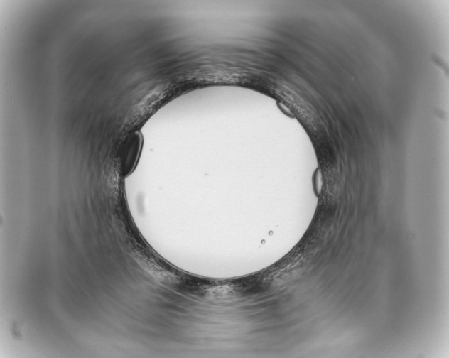 X0000096730309200802261459