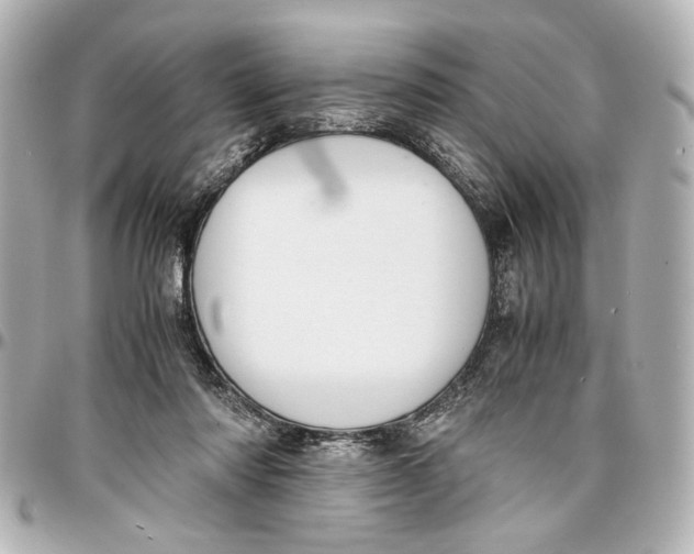 X0000096730310200802261459