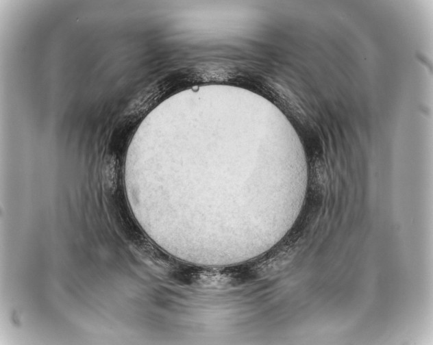 X0000096730311200802261459