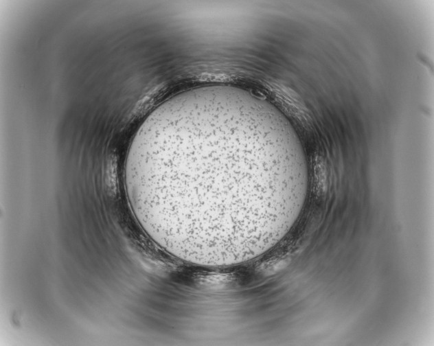 X0000096730312200802261459