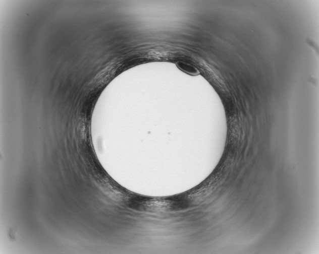 X0000096730313200802261459