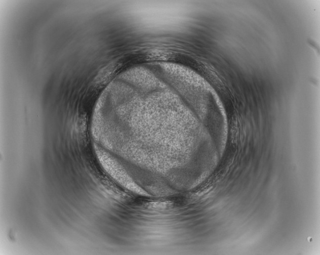 X0000096730314200802261459