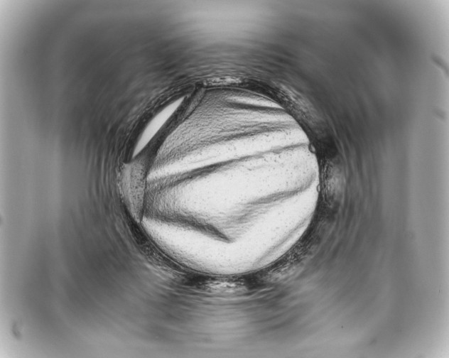 X0000096730315200802261459