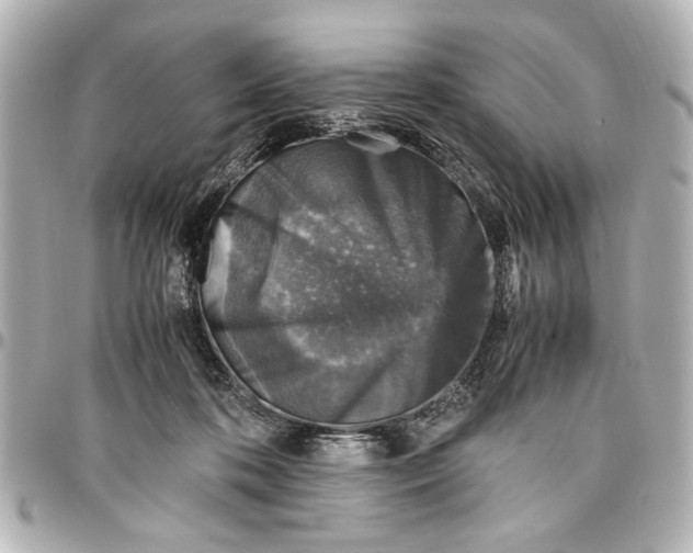 X0000096730316200802261459